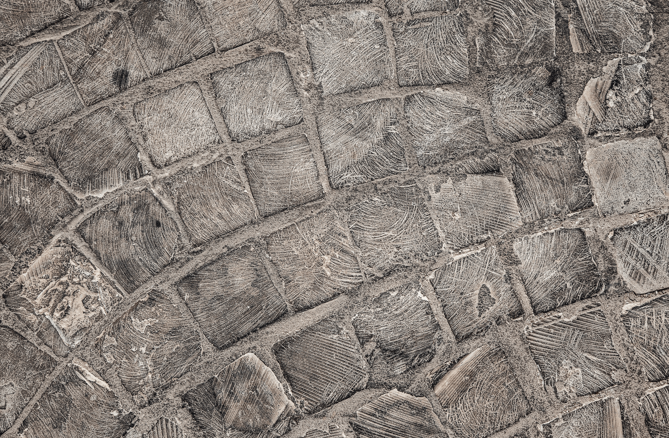 Decorative Concrete contractor in texas